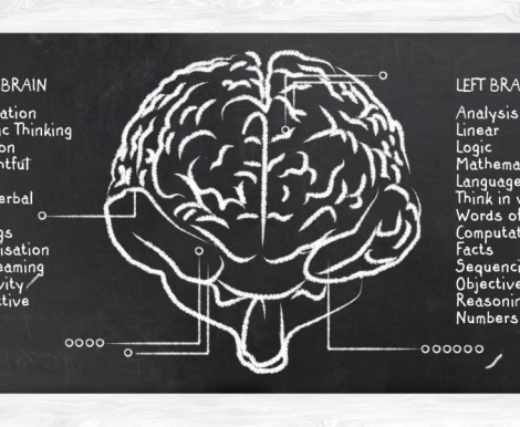 Inside the brain- The brain basis of emotions
